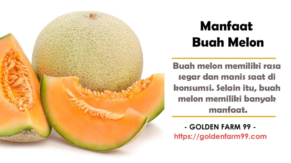 Inilah Manfaat Buah Melon Untuk Kesehatan Dan Kecantikan – Portal