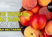 Manfaat Luar Biasa Buah Nectarine Untuk Kesehatan Dan Kecantikan Anda!