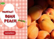 Manfaat Luar Biasa Buah Peach Untuk Kesehatan Dan Kecantikan