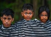 Suku Lingon: Suku Asli Indonesia Yang Memiliki Mata Biru