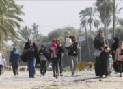 Mesir serukan gencatan senjata  serta batas waktu bagi negara Palestina