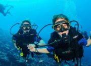 Wisata Bahari: Snorkeling, Selam, Dan Aktivitas Laut Lainnya