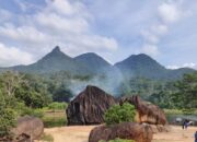 Liburan Seru Di Kalimantan Barat Yang Akan Membuatmu Lupa Pulang!