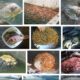 Teknik Pembenihan Ikan Nila Yang Efektif