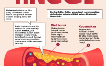 Fakta Penting Tentang Kolesterol Dalam Tubuh