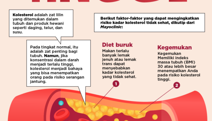 Fakta Penting Tentang Kolesterol Dalam Tubuh