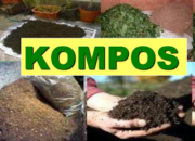 Manfaat Kompos Untuk Kesuburan Tanah