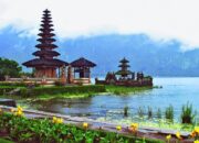 Wisata Rumah Pohon Di Indonesia