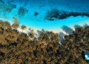 Pesona Laut Indonesia: Menyelami Keindahan Wisata Bahari