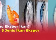 Peluang Ekspor Produk Budidaya Ikan Indonesia