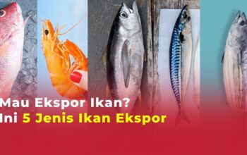 Peluang Ekspor Produk Budidaya Ikan Indonesia