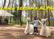 5 Objek Wisata Di Indonesia
