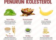 Nutrisi Penting Untuk Menurunkan Kolesterol