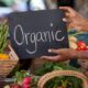 Cara Memulai Bisnis Produk Organik Dan Natural