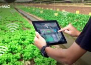 Menjadi Petani Modern: Mengintegrasikan IoT Dalam Pertanian