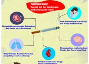 Pengaruh Buruk Rokok Terhadap Kesehatan Gigi Dan Gusi
