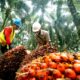 Membangun Kemitraan Yang Sukses Antara Petani Dan Konsumen