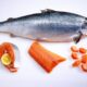 Budidaya Ikan Salmon: Potensi Dan Tantangan